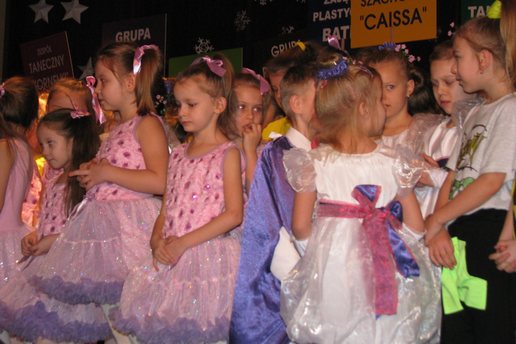 Zamość: Koncert Noworoczny MDK [FOTO]