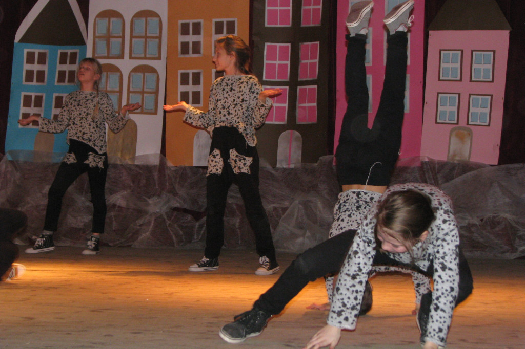 Zamość: Koncert Noworoczny MDK [FOTO]