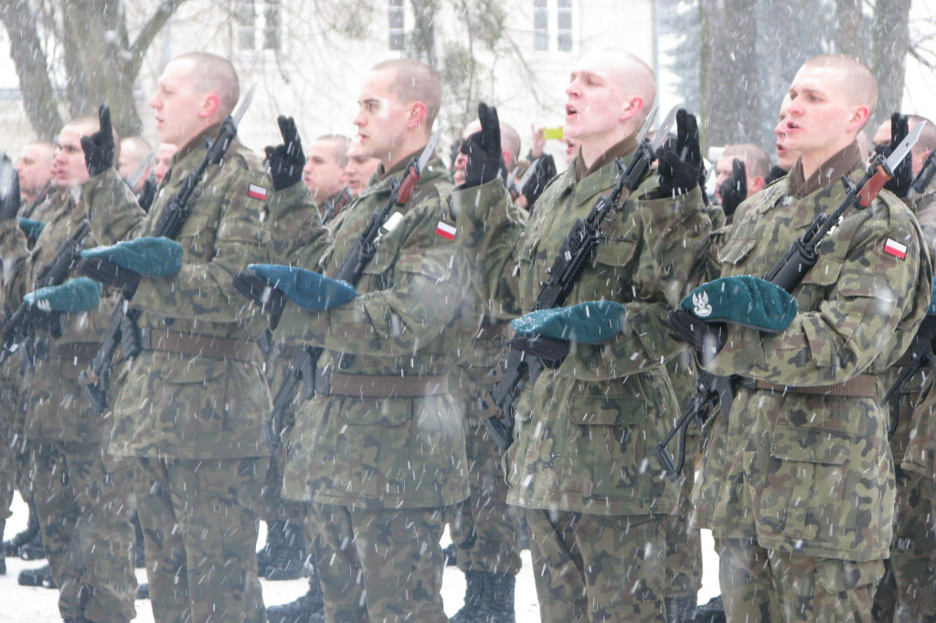 Zamość: 