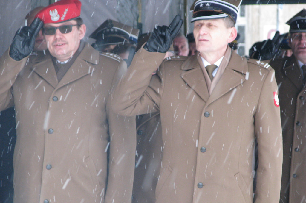 Zamość: 