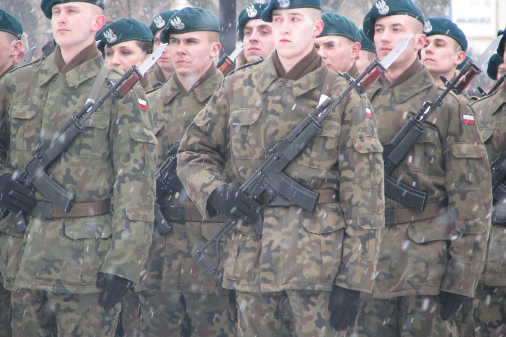 Zamość: 