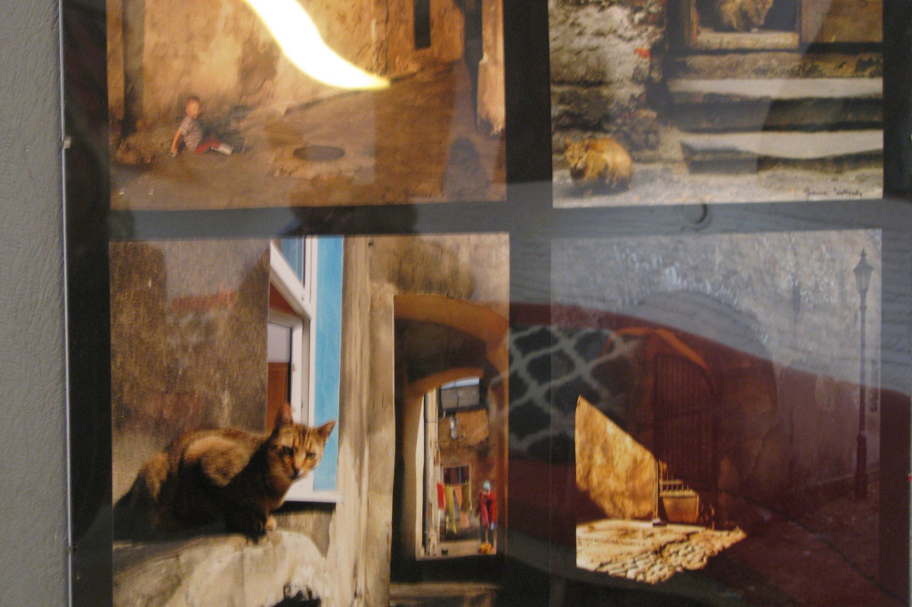 Zamość: Galeria 77 - wielkie otwarcie [FOTO]