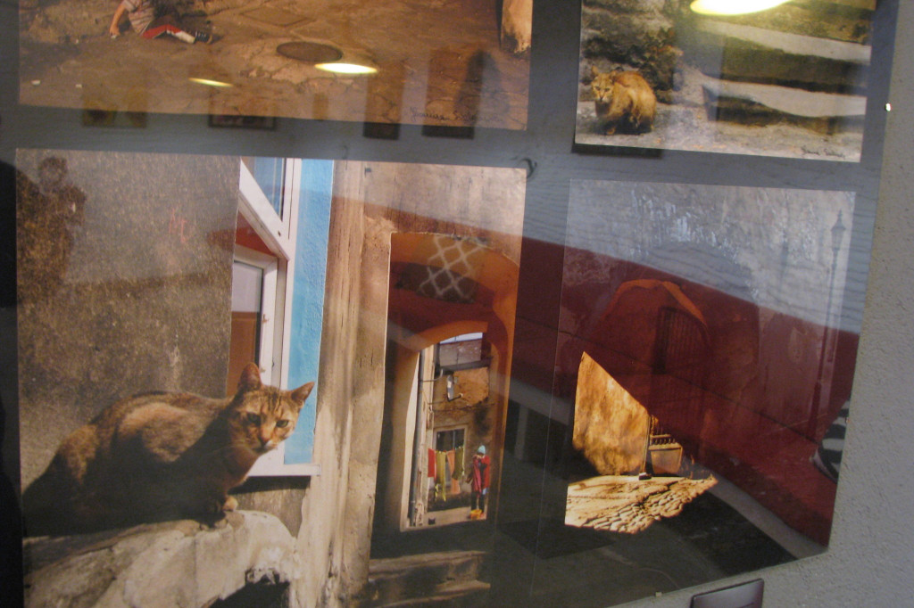 Zamość: Galeria 77 - wielkie otwarcie [FOTO]