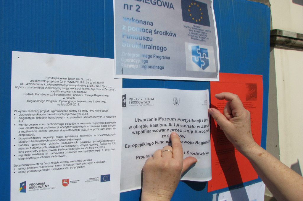 Zamość: Pierwsze urodziny Pulse of Europe