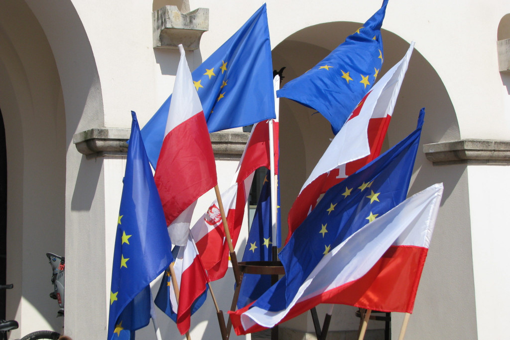 Zamość: Pierwsze urodziny Pulse of Europe