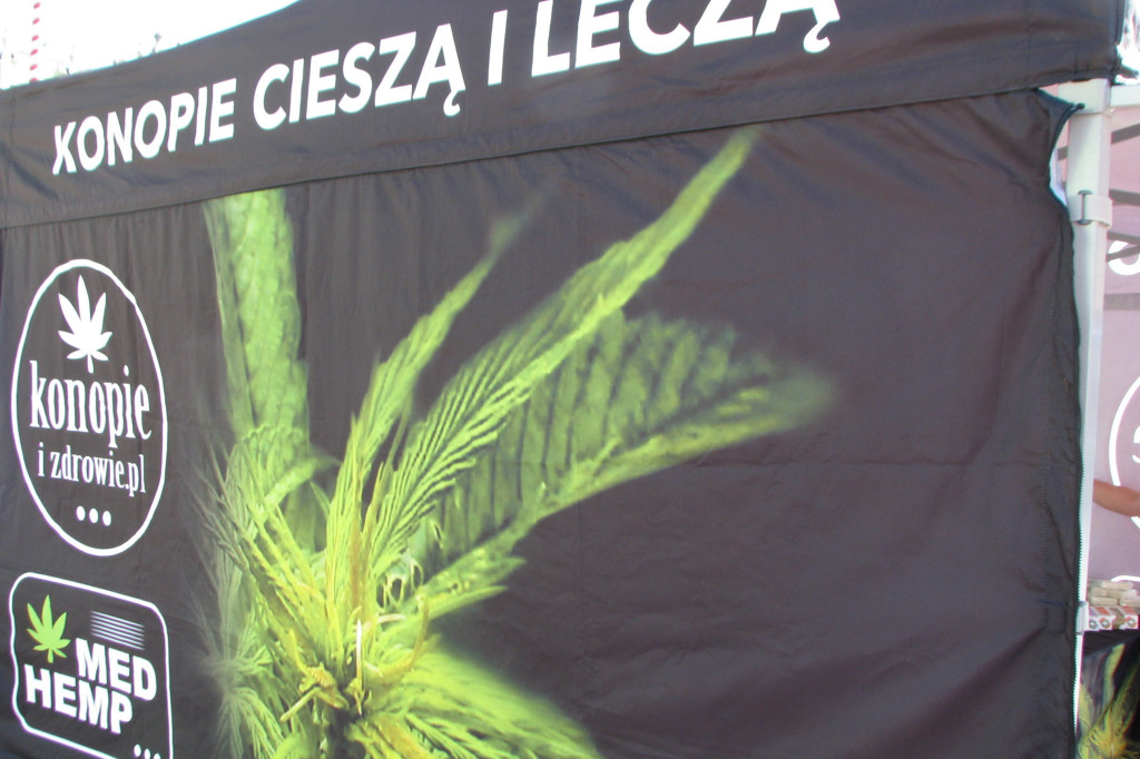Zamość: III Festiwal Polskiej Żywności Wolnej do GMO [FOTO]