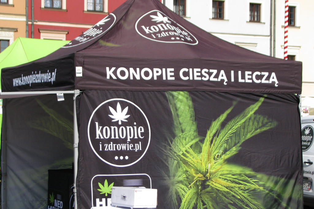 Zamość: III Festiwal Polskiej Żywności Wolnej do GMO [FOTO]