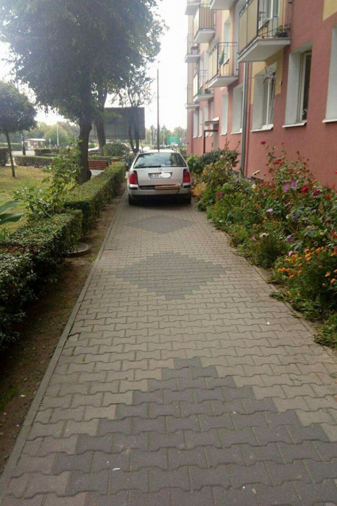 Zamość: Mistrzowie parkowania w obiektywie [FOTO]