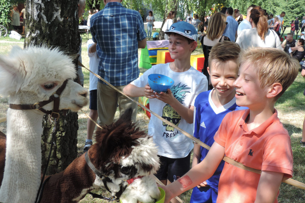 Zamość: Piknik Rodzinny Smart School