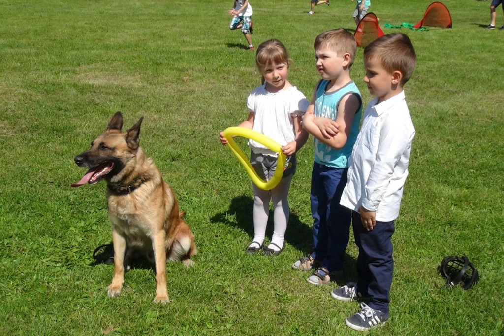 IV Piknik Rodzinny Smart School za nami