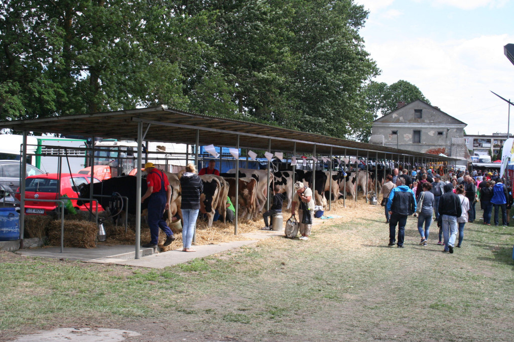 Region: Wystawa w Sitnie trwa [FOTO]