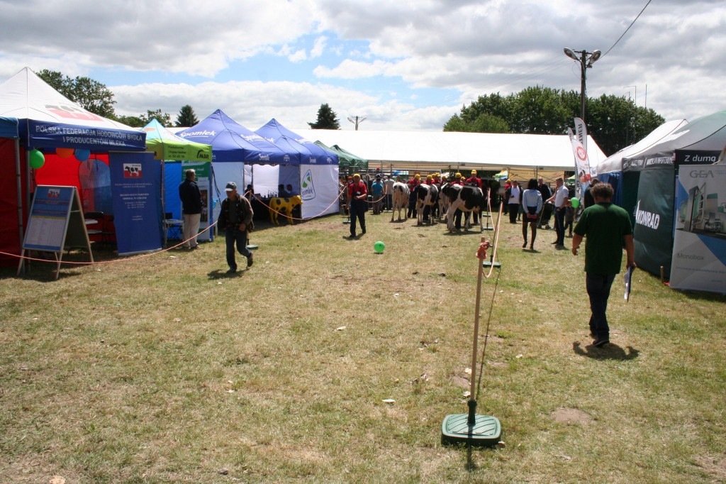 Region: Wystawa w Sitnie trwa [FOTO]