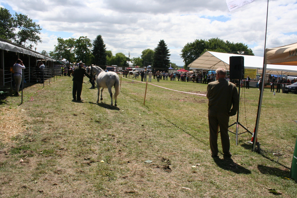 Region: Wystawa w Sitnie trwa [FOTO]