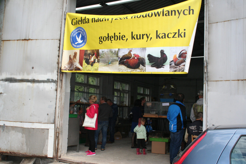 Region: Wystawa w Sitnie trwa [FOTO]