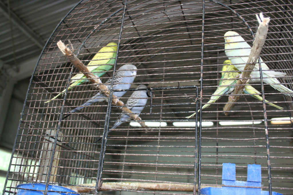 Region: Wystawa w Sitnie trwa [FOTO]