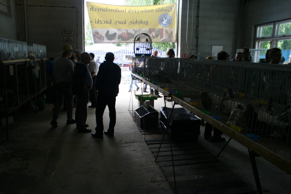 Region: Wystawa w Sitnie trwa [FOTO]