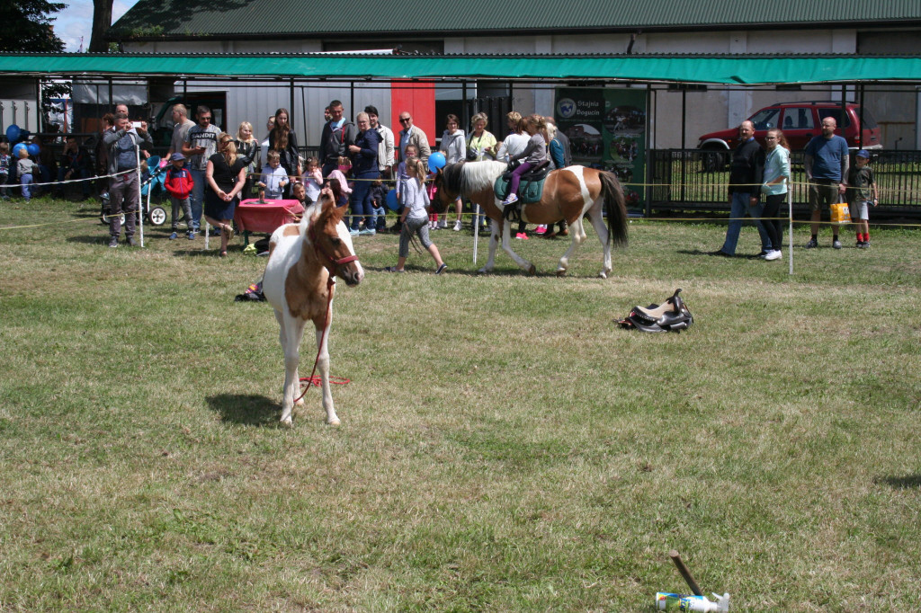 Region: Wystawa w Sitnie trwa [FOTO]