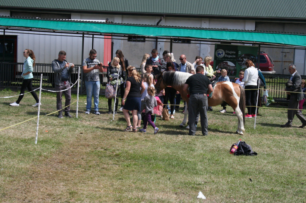 Region: Wystawa w Sitnie trwa [FOTO]