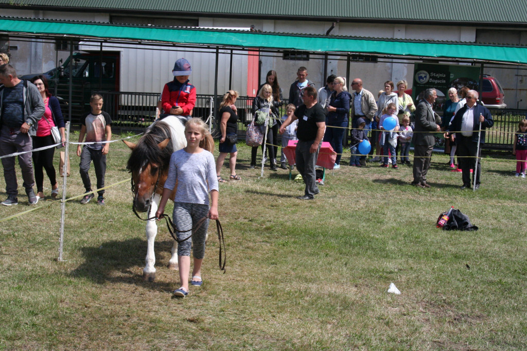 Region: Wystawa w Sitnie trwa [FOTO]