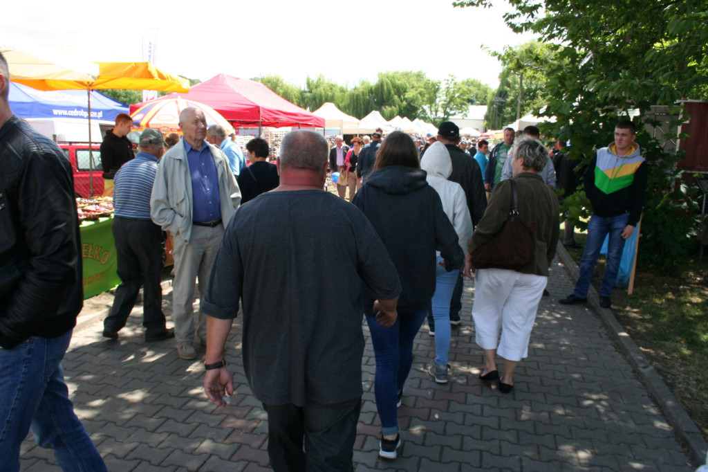 Region: Wystawa w Sitnie trwa [FOTO]
