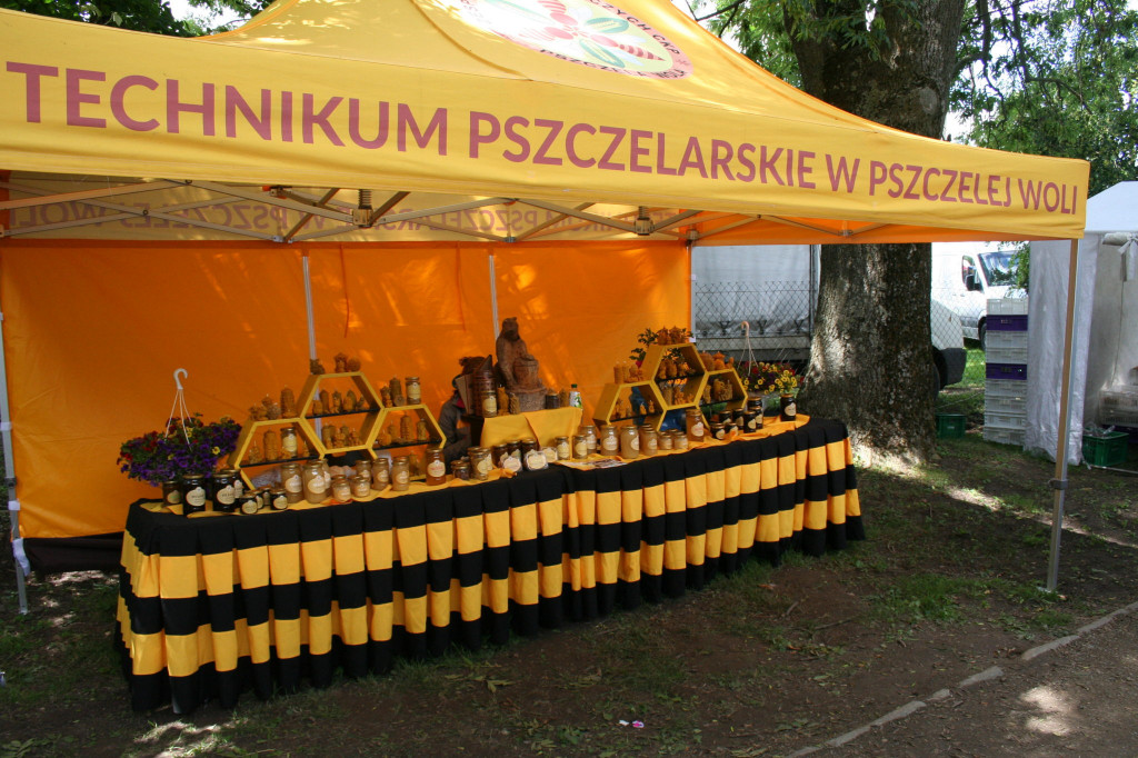 Region: Wystawa w Sitnie trwa [FOTO]