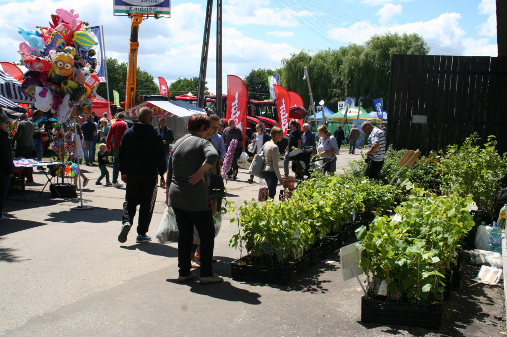 Region: Wystawa w Sitnie trwa [FOTO]
