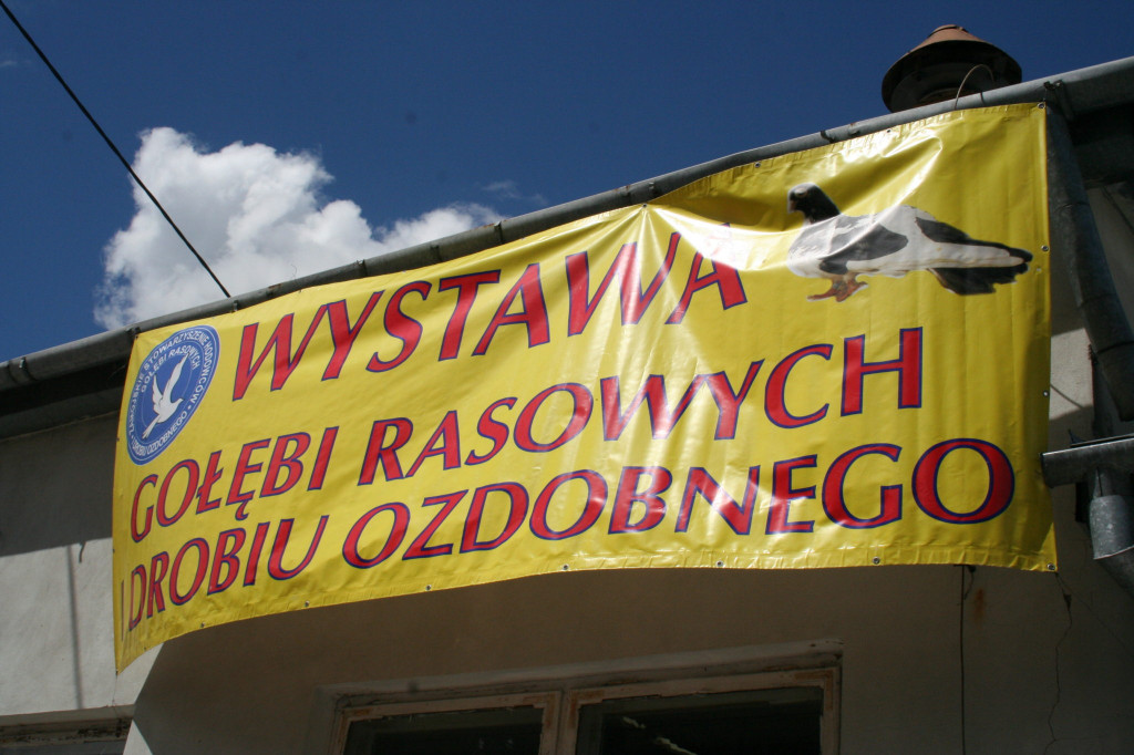 Region: Wystawa w Sitnie trwa [FOTO]