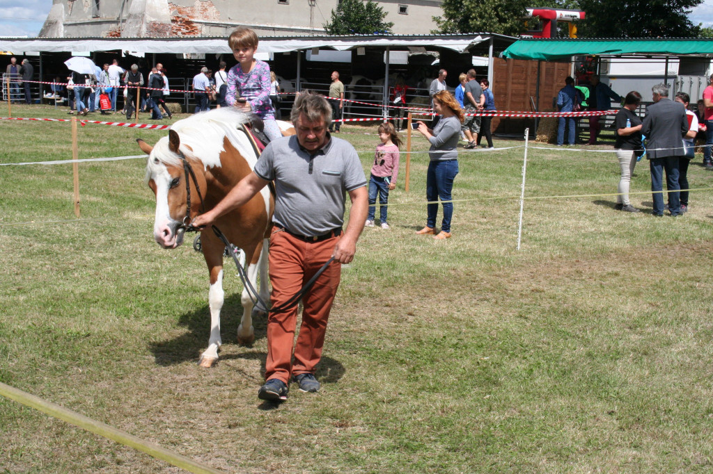 Region: Wystawa w Sitnie trwa [FOTO]