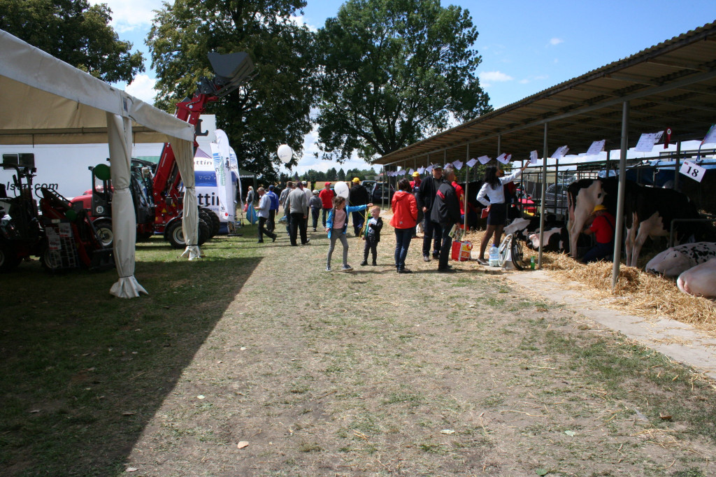 Region: Wystawa w Sitnie trwa [FOTO]