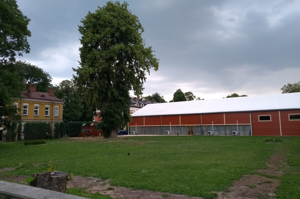 Pomniki przyrody Zamościa - dobro czy zło konieczne?
