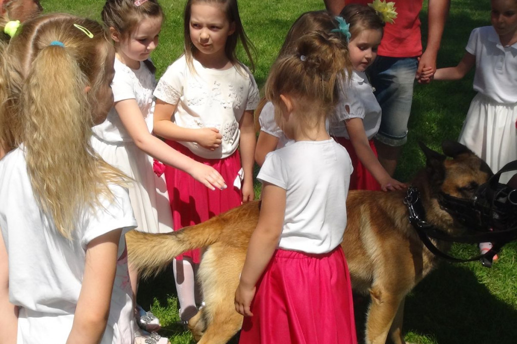 IV Piknik Rodzinny Smart School za nami