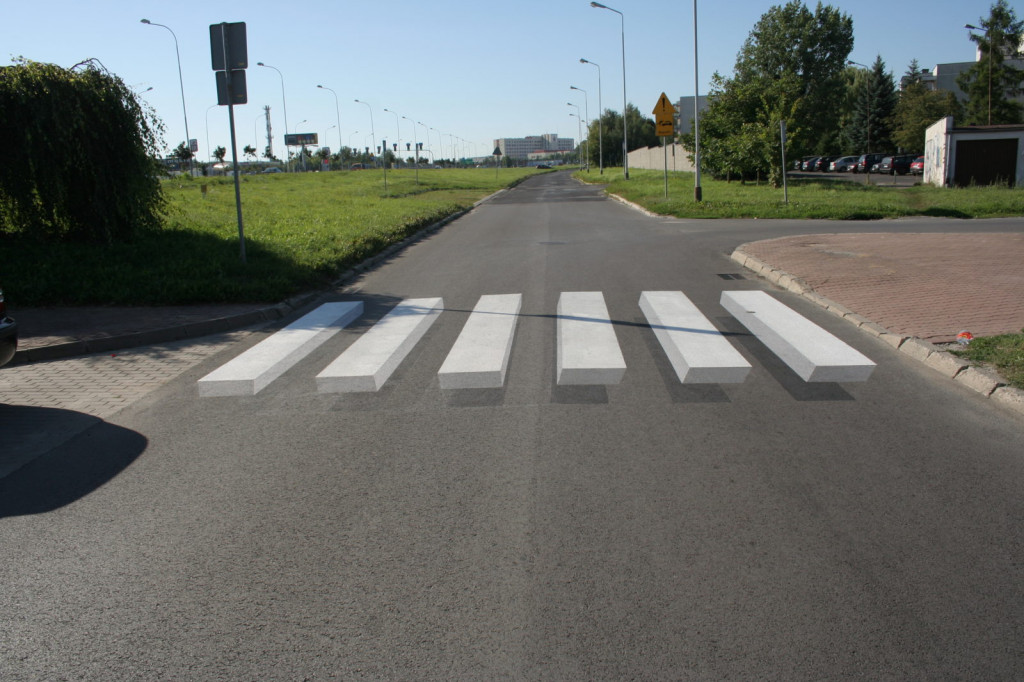 Zamość: Zobacz zebrę w 3D - drugą w Polsce [FOTO]