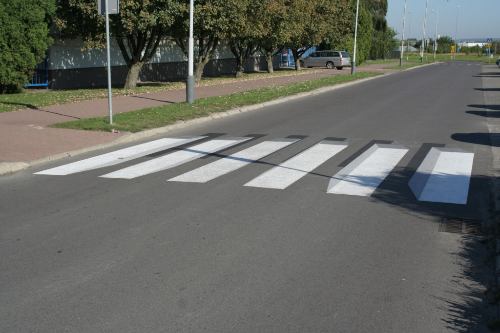 Zamość: Zobacz zebrę w 3D - drugą w Polsce [FOTO]