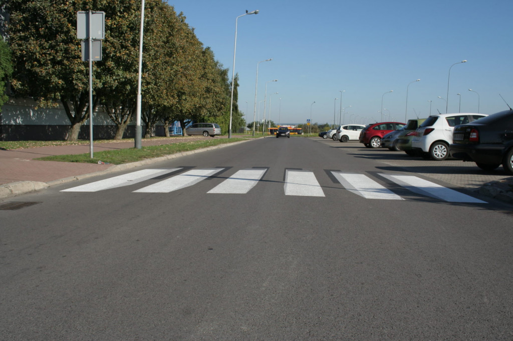 Zamość: Zobacz zebrę w 3D - drugą w Polsce [FOTO]