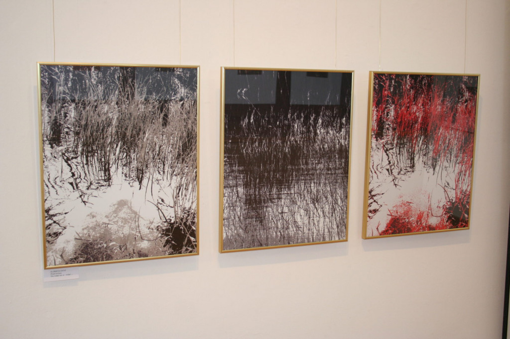 Zamość: Leśmian w BWA [FOTO]