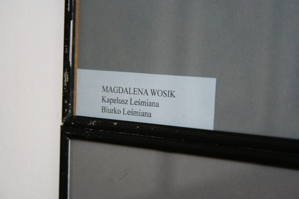 Zamość: Leśmian w BWA [FOTO]