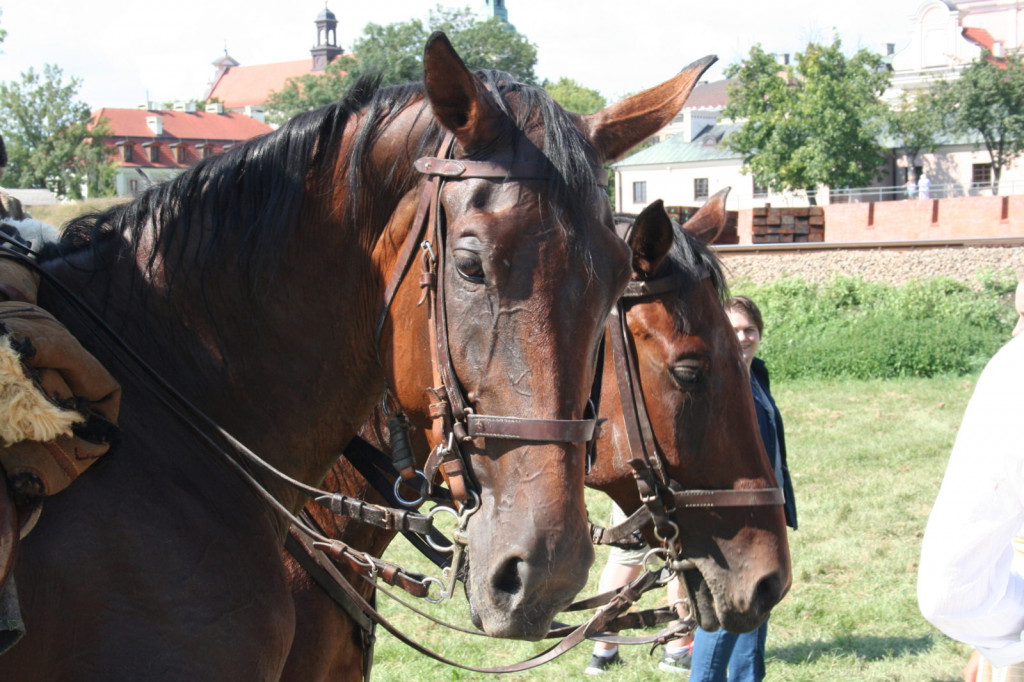 Zamość: Inscenizacja historyczna 