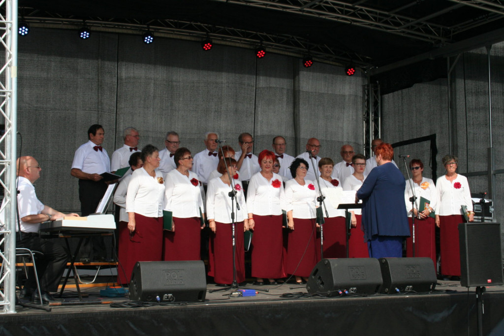 Zamość: Podsumowanie projektu PIEŚŃ NIEPODLEGŁOŚCI - koncert FORTECA [FOTO]