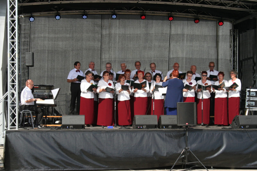 Zamość: Podsumowanie projektu PIEŚŃ NIEPODLEGŁOŚCI - koncert FORTECA [FOTO]