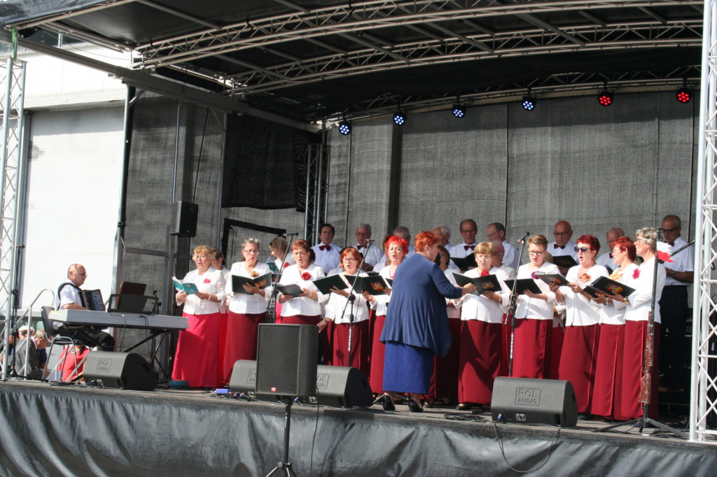 Zamość: Podsumowanie projektu PIEŚŃ NIEPODLEGŁOŚCI - koncert FORTECA [FOTO]