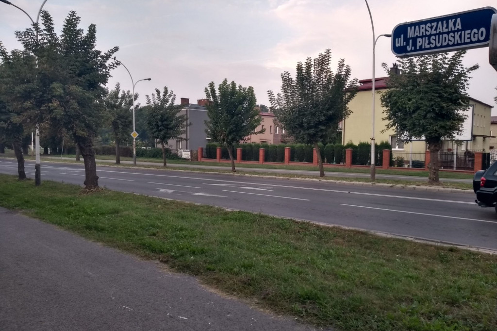 Zieleń przyuliczna Zamościa - może być piękna i praktyczna!