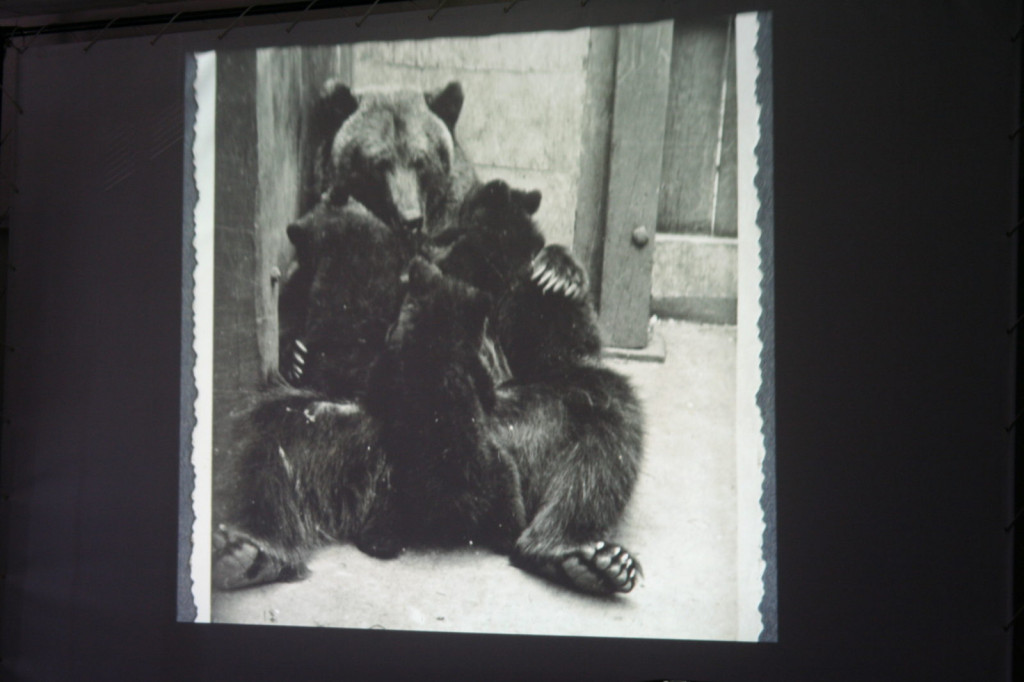 Zamość: 100-lecie Ogrodu Zoologicznego