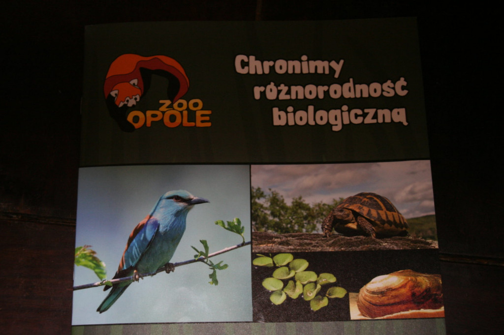 Zamość: 100-lecie Ogrodu Zoologicznego