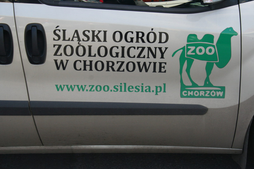 Zamość: 100-lecie Ogrodu Zoologicznego