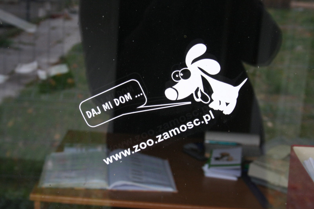 Zamość: Wsparli ideę pomocy porzuconym zwierzętom [FOTO]