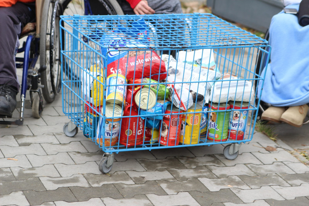 Zamość: Wsparli ideę pomocy porzuconym zwierzętom [FOTO]