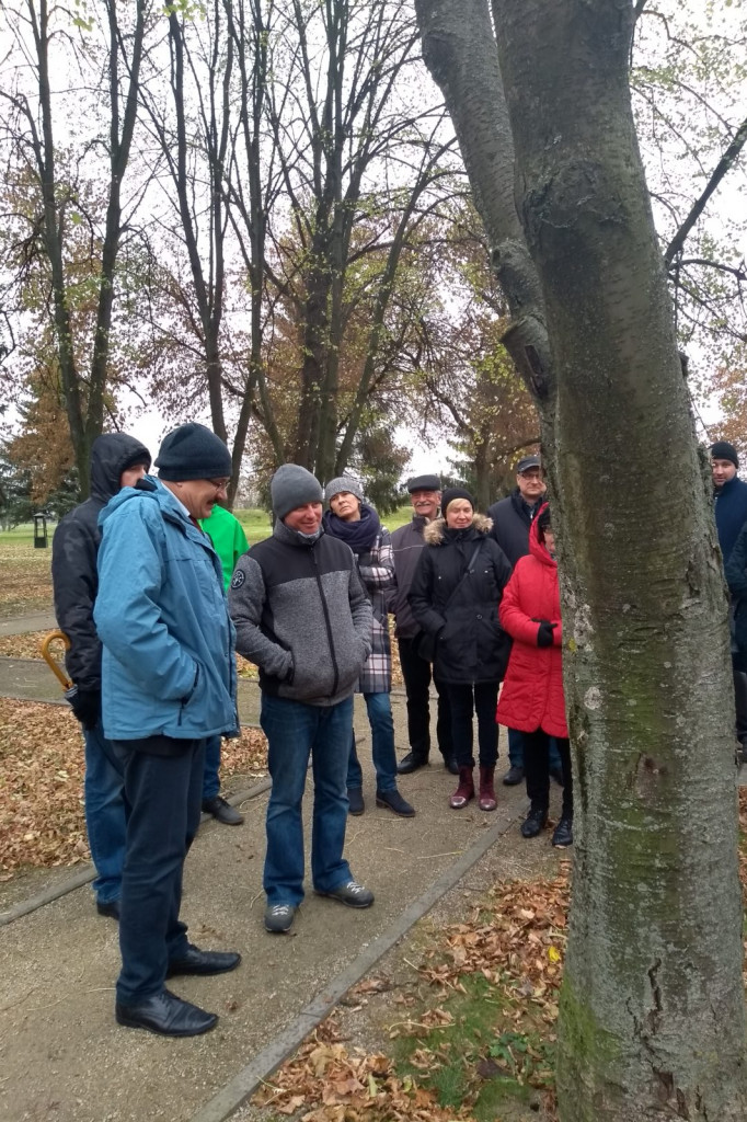 Zamość: Warsztaty dotyczące pielęgnacji drzew w ZGL