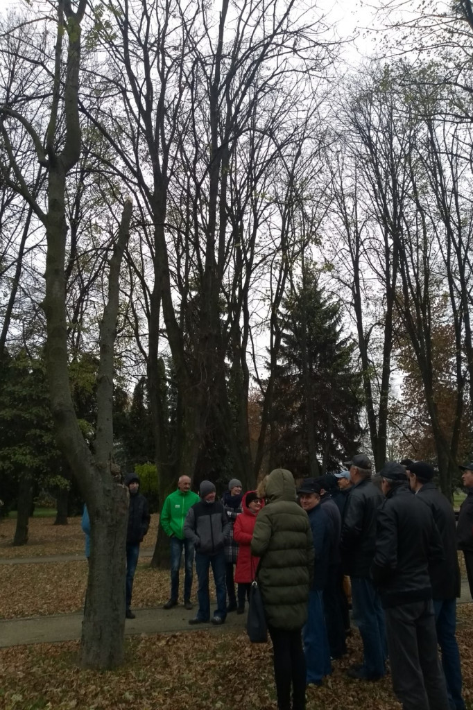 Zamość: Warsztaty dotyczące pielęgnacji drzew w ZGL