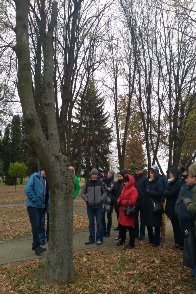 Zamość: Warsztaty dotyczące pielęgnacji drzew w ZGL