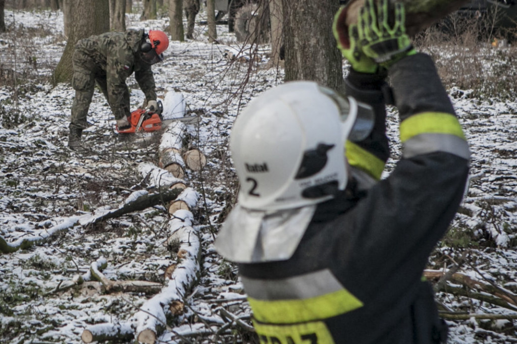 Terytorialsi i strażacy na wspólnym szkoleniu